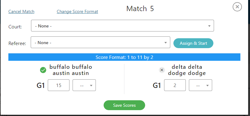 Score entry box with green checkmark next to the winner